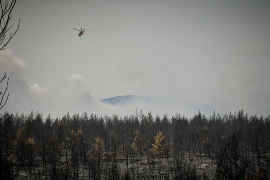 Σε ύφεση τα μέτωπα στην Αττική - Πνίγεται στον καπνό το λεκανοπέδιο