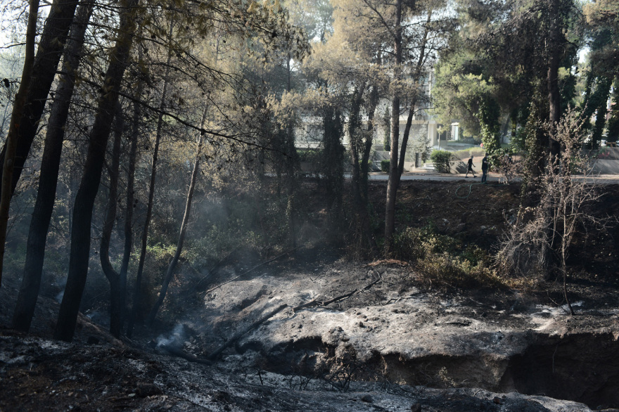 Φωτιά στην Αττική: Οδοιπορικό του protothema.gr στα καμένα - «Εικόνες Αποκάλυψης» στους Θρακομακεδόνες