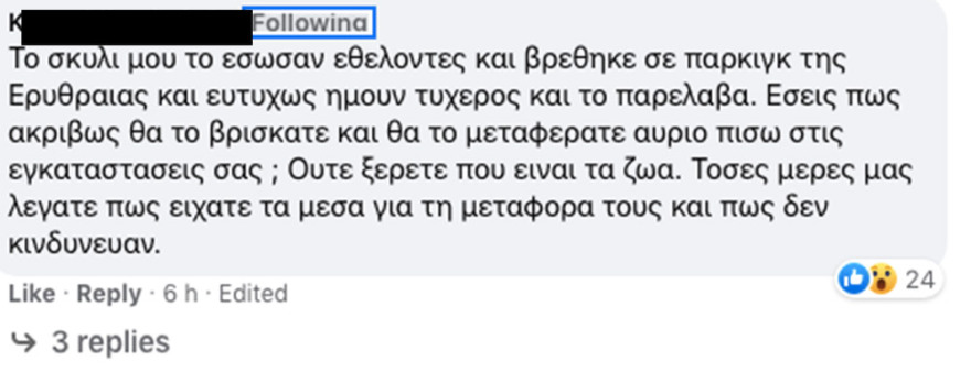 Φωτιά στη Βαρυμπόμπη: Καταγγελίες για πανσιόν σκύλων στο Κρυονέρι - Την εκκένωσαν εθελοντές