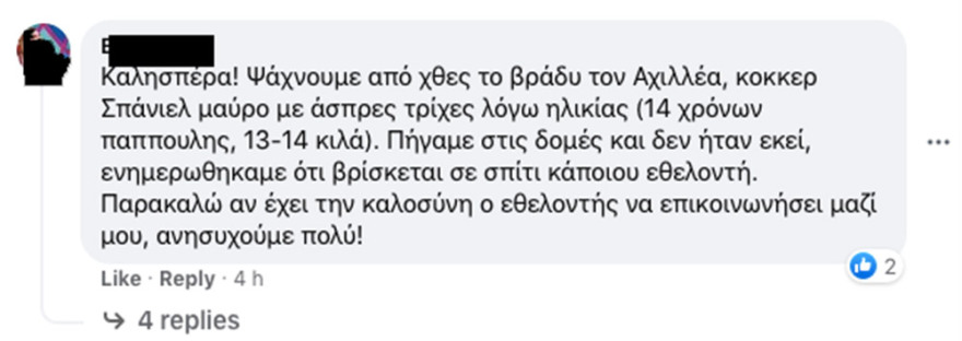 Φωτιά στη Βαρυμπόμπη: Καταγγελίες για πανσιόν σκύλων στο Κρυονέρι - Την εκκένωσαν εθελοντές