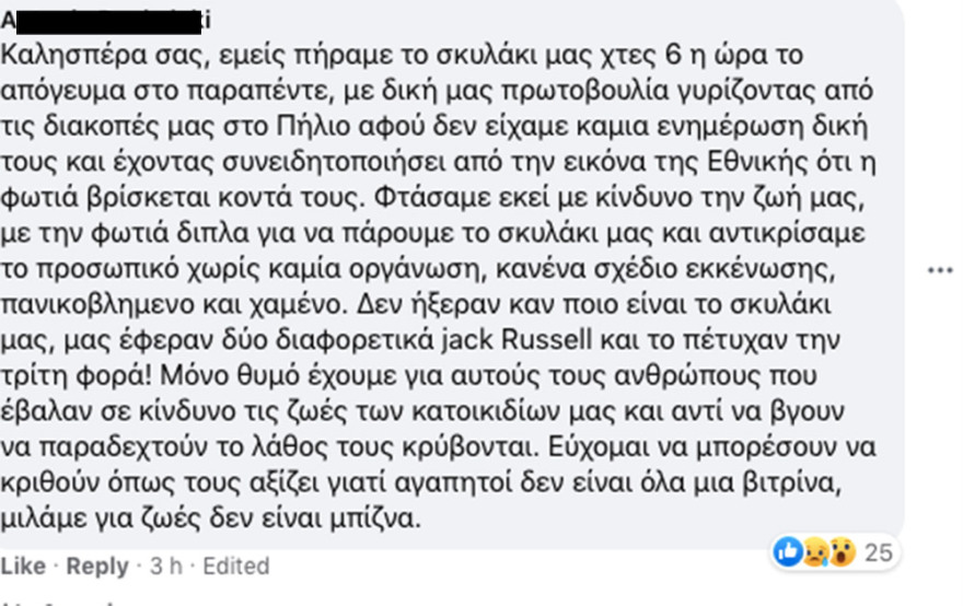 Φωτιά στη Βαρυμπόμπη: Καταγγελίες για πανσιόν σκύλων στο Κρυονέρι - Την εκκένωσαν εθελοντές
