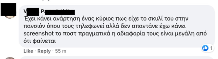Φωτιά στη Βαρυμπόμπη: Καταγγελίες για πανσιόν σκύλων στο Κρυονέρι - Την εκκένωσαν εθελοντές