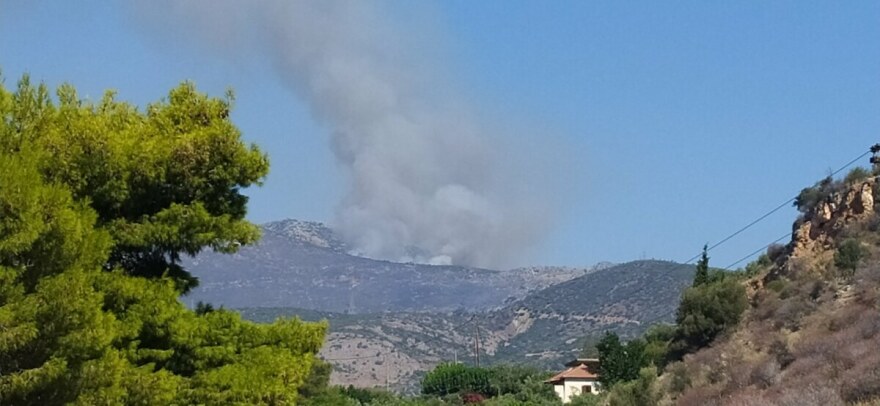 Φωτιά στη Φωκίδα: Μαίνεται το μέτωπο - Απειλούνται χωριά (βίντεο - φωτογραφίες)