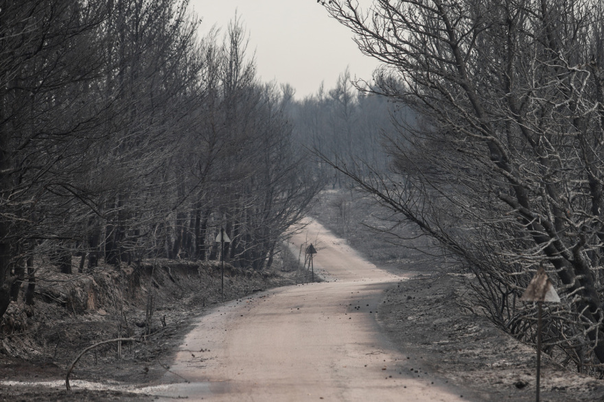 Φωτιά στην Αττική: Το μέγεθος της καταστροφής σε εικόνες
