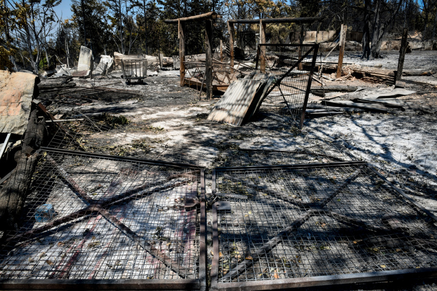 Φωτιά στην Αττική: Το μέγεθος της καταστροφής σε εικόνες