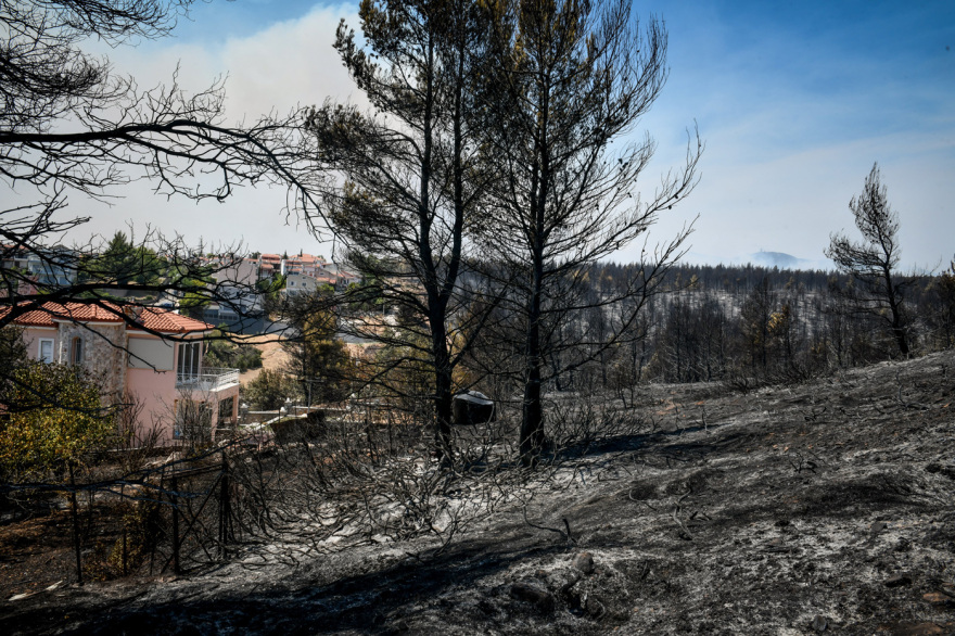 Φωτιά στην Αττική: Το μέγεθος της καταστροφής σε εικόνες