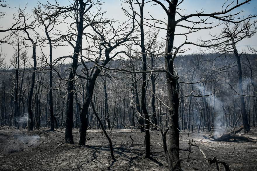 Φωτιά στην Αττική: Το μέγεθος της καταστροφής σε εικόνες