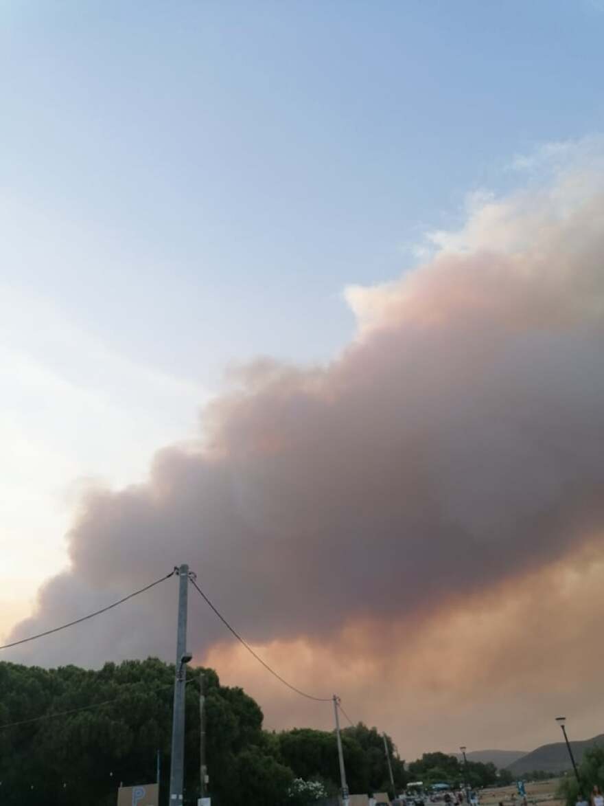 «Save A Greek Stray»: Εκκενώθηκε επιτυχώς το καταφύγιο ζώων - Δείτε φωτογραφίες