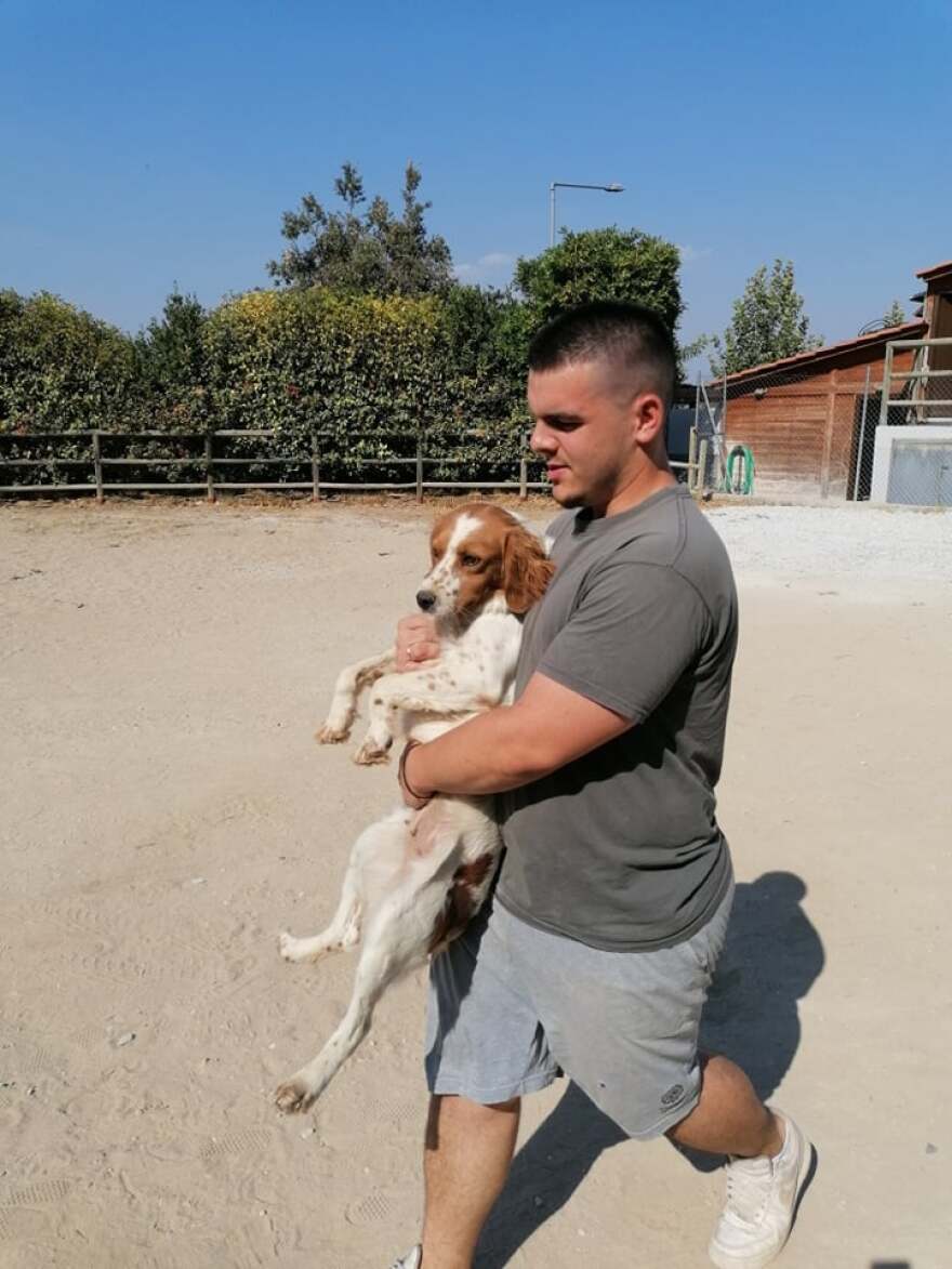 «Save A Greek Stray»: Εκκενώθηκε επιτυχώς το καταφύγιο ζώων - Δείτε φωτογραφίες