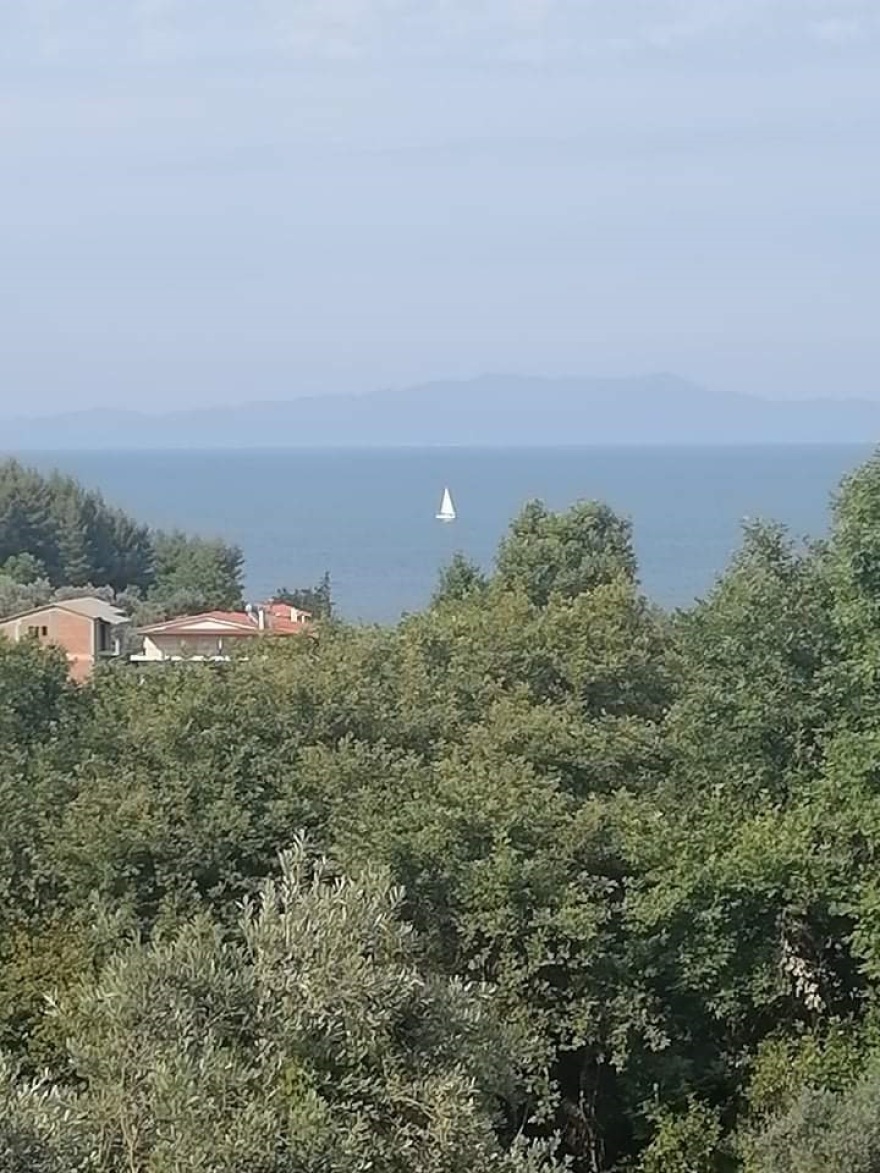 Φωτιά στην Εύβοια: Συγκλονίζει η μαρτυρία γυναίκας που έχασε το σπίτι της στο Αχλάδι