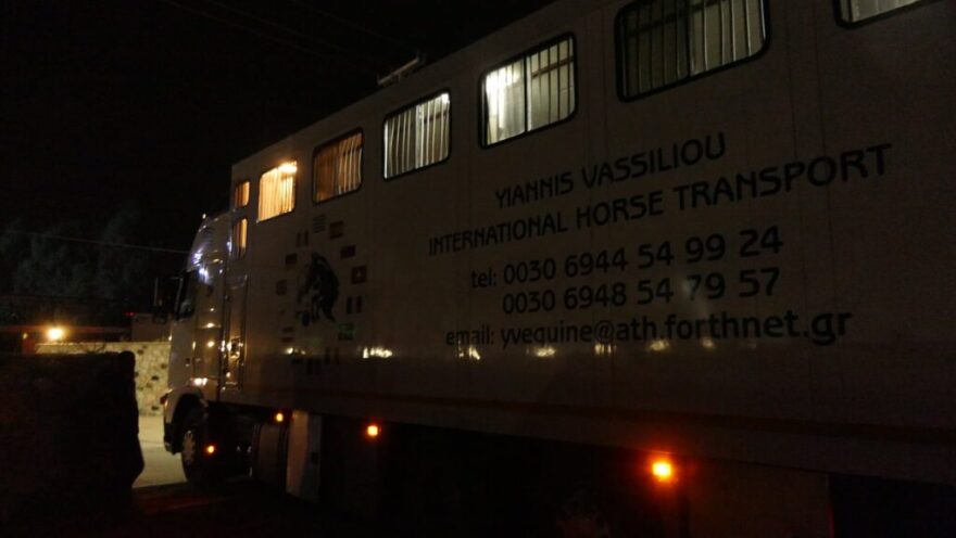 «Save A Greek Stray»: Εκκενώθηκε επιτυχώς το καταφύγιο ζώων - Δείτε φωτογραφίες