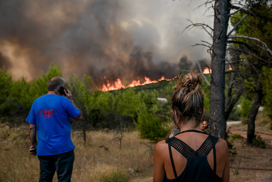 Φωτιά στην Αττική: Στη Μαλακάσα το μέτωπο - Τιτάνια μάχη με τις φλόγες και τις αναζωπυρώσεις