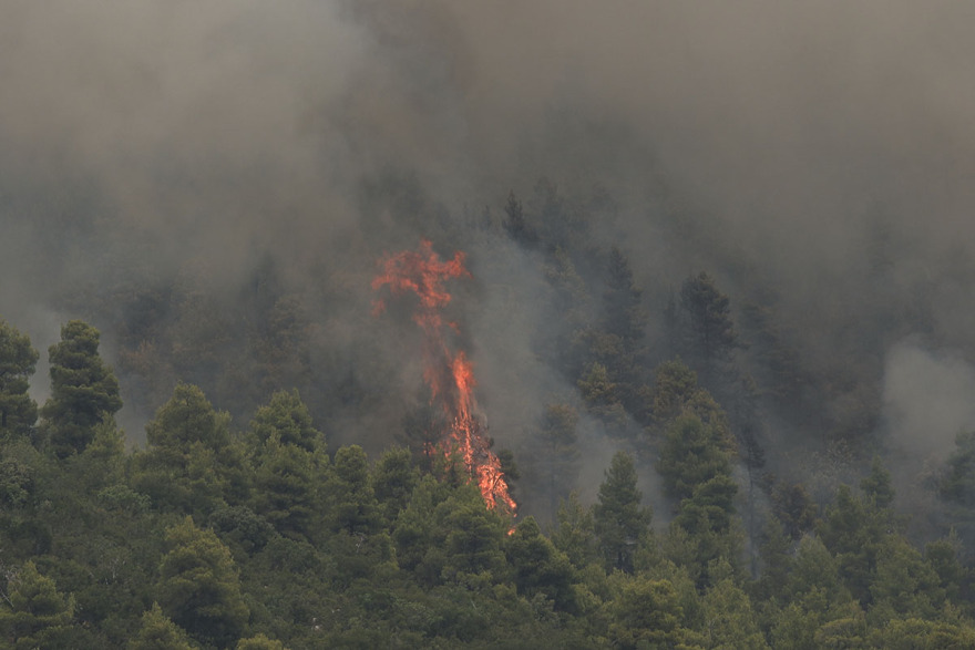 Η Ελλάδα σε πύρινο κλοιό: Δύσκολες ώρες για Εύβοια, Μεσσηνία και Ηλεία - Καίγονται σπίτια,  συνεχείς εκκενώσεις οικισμών 