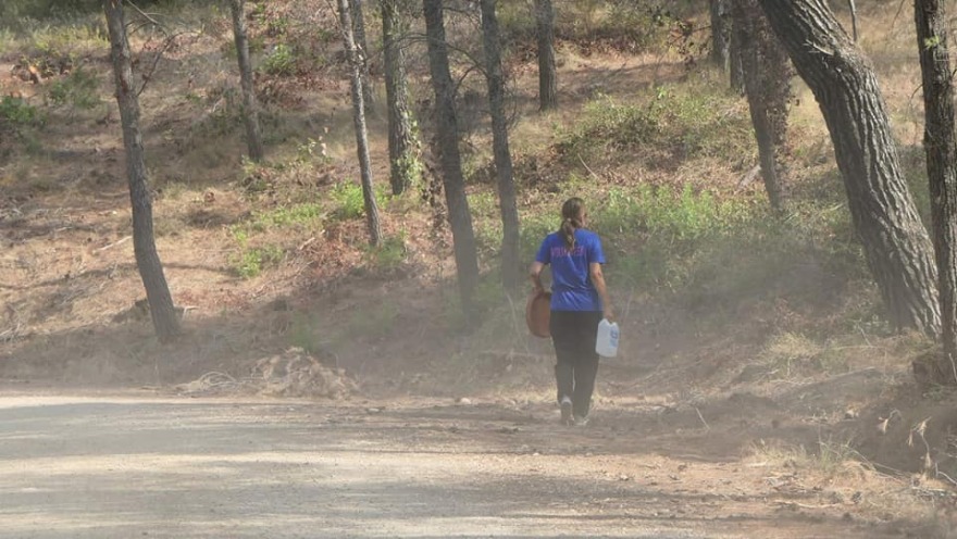 «Save A Greek Stray»: Εκκενώθηκε επιτυχώς το καταφύγιο ζώων - Δείτε φωτογραφίες