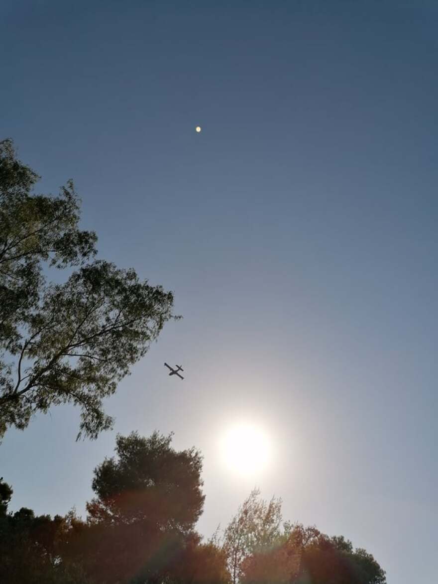 «Save A Greek Stray»: Εκκενώθηκε επιτυχώς το καταφύγιο ζώων - Δείτε φωτογραφίες