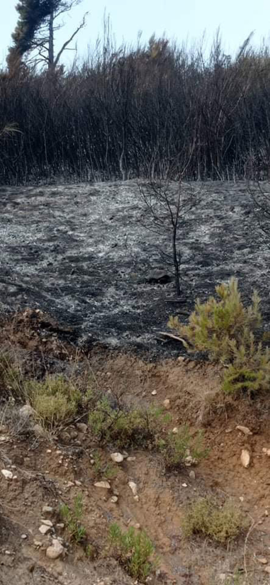 Φωτιά στην Αττική: Πάνω από 300 σπίτια με ζημιές - «Χάσαμε τις περιουσίες μας» λένε οι κάτοικοι
