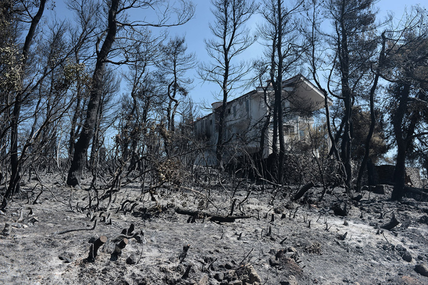 Φωτιά στην Αττική: Οδοιπορικό από Βαρυμπόμπη μέχρι Ιπποκράτειο Πολιτεία