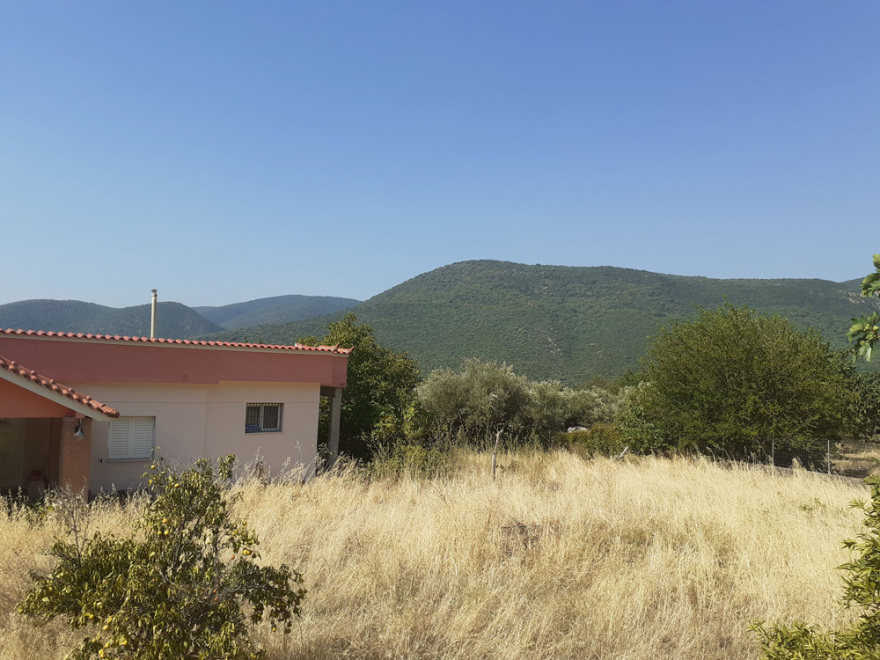 Φωτιά στη Μεσσηνία: Αναζωπύρωση κοντά στη Μέλπεια 