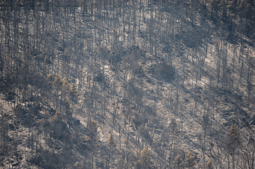 Φωτιά στην Αττική: Το μέγεθος της καταστροφής σε εικόνες