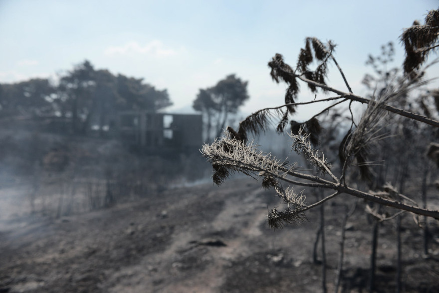 Φωτιά στην Αττική: Το μέγεθος της καταστροφής σε εικόνες