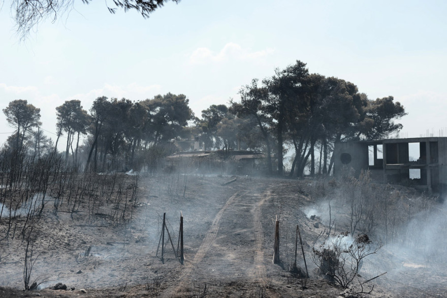 Φωτιά στην Αττική: Το μέγεθος της καταστροφής σε εικόνες