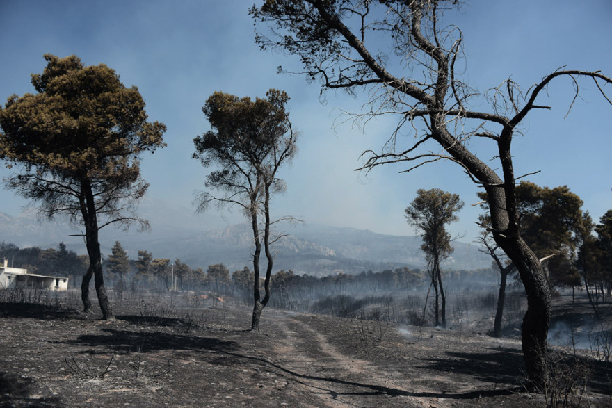 Φωτιά στην Αττική: Το μέγεθος της καταστροφής σε εικόνες