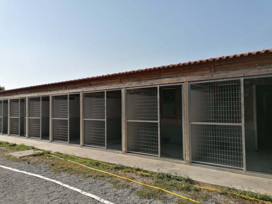 «Save A Greek Stray»: Εκκενώθηκε επιτυχώς το καταφύγιο ζώων - Δείτε φωτογραφίες