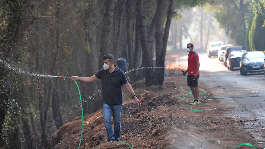 Συγκεντρώνουν είδη πρώτης ανάγκης για πυρόπληκτους σε όλη την Ελλάδα - Πώς μπορείτε να βοηθήσετε ανθρώπους και ζώα