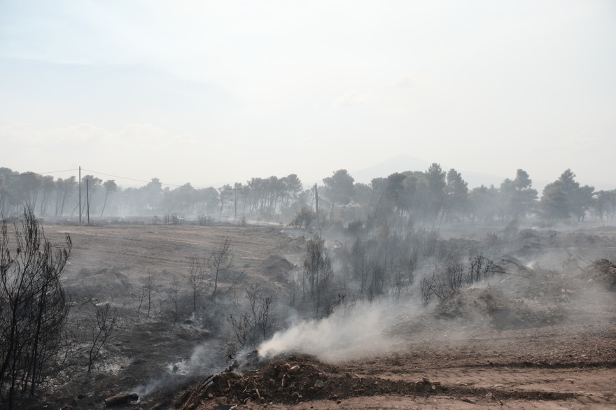 Φωτιά στην Αττική: Οδοιπορικό του protothema.gr στα καμένα - «Εικόνες Αποκάλυψης» στους Θρακομακεδόνες