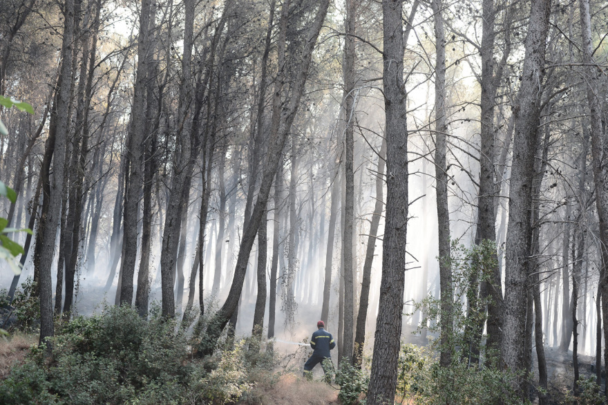 Φωτιά στην Αττική: Οδοιπορικό του protothema.gr στα καμένα - «Εικόνες Αποκάλυψης» στους Θρακομακεδόνες