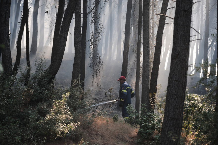 Φωτιά στην Αττική: Οδοιπορικό του protothema.gr στα καμένα - «Εικόνες Αποκάλυψης» στους Θρακομακεδόνες