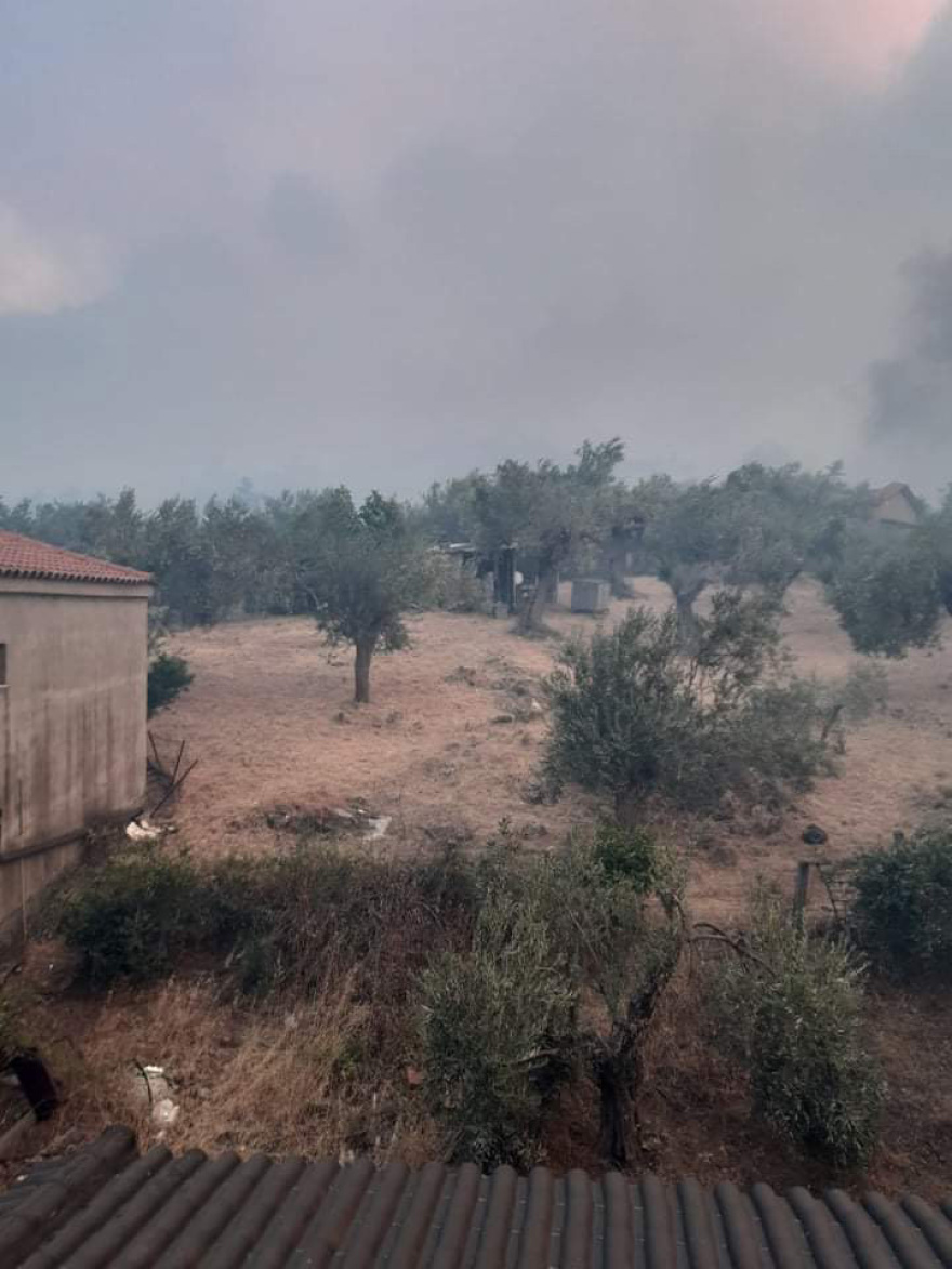 Βόρεια Εύβοια: Σφίγγει ο κλοιός γύρω από την Ιστιαία - Με κατεύθυνση το Πευκί κινείται η φωτιά 