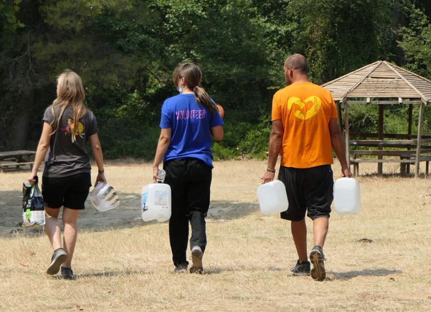 «Save A Greek Stray»: Εκκενώθηκε επιτυχώς το καταφύγιο ζώων - Δείτε φωτογραφίες