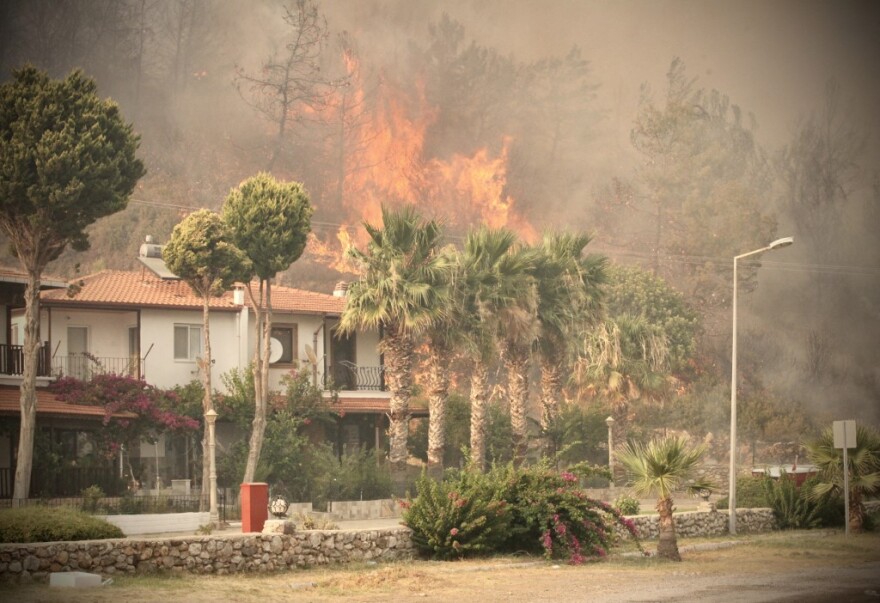 TIME: Φωτιές καίνε τον πλανήτη εδώ και ένα μήνα - Ο ρόλος της κλιματικής αλλαγής