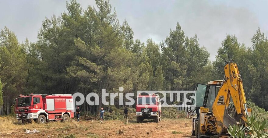 Φωτιά στην Ηλεία: «Έσπασε» το ενιαίο μέτωπο, μάχη με διάσπαρτες εστίες και αναζωπυρώσεις