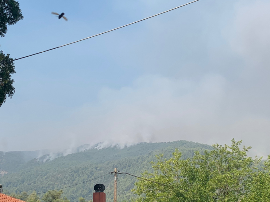 Φωτιά στην Εύβοια: Μάχη για να μην ξεφύγει στα κεντρικά το πύρινο μέτωπο