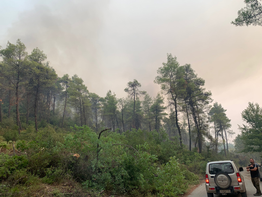 Φωτιά στην Εύβοια: Μάχη για να μην ξεφύγει στα κεντρικά το πύρινο μέτωπο