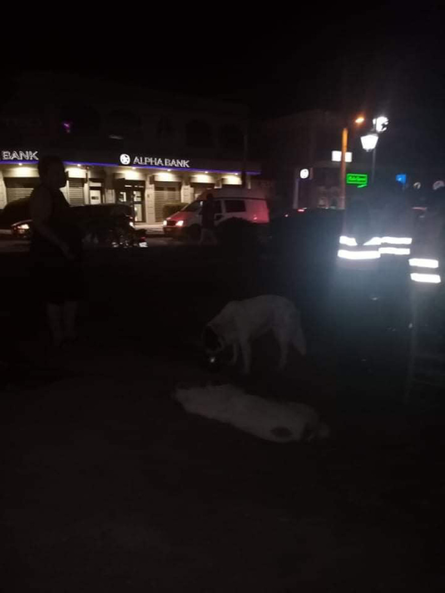 Φωτιά στην Αττική: Στο πλευρό των πυροσβεστικών δυνάμεων 70 πρόσκοποι