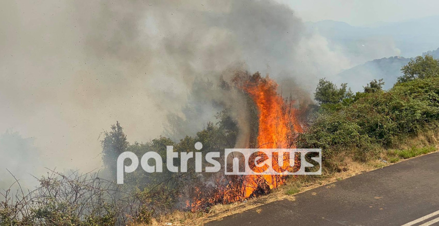 Φωτιά στην Ηλεία: Βιβλική καταστροφή - Πάνω από 90.000 στρέμματα γης έχουν καεί