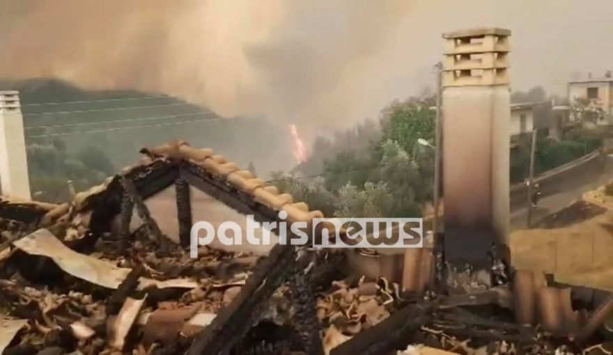 Φωτιά στην Ηλεία: Βιβλική καταστροφή - Πάνω από 90.000 στρέμματα γης έχουν καεί