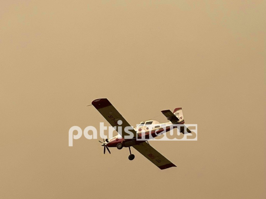 Φωτιά στην Ηλεία: Βιβλική καταστροφή - Πάνω από 90.000 στρέμματα γης έχουν καεί