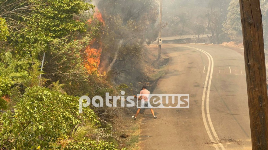 Φωτιά στην Ηλεία: Βιβλική καταστροφή - Πάνω από 90.000 στρέμματα γης έχουν καεί