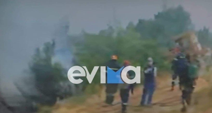 Φωτιά στην Εύβοια: Με τις συνεχείς αναζωπυρώσεις, πλησιάζει την Ιστιαία 