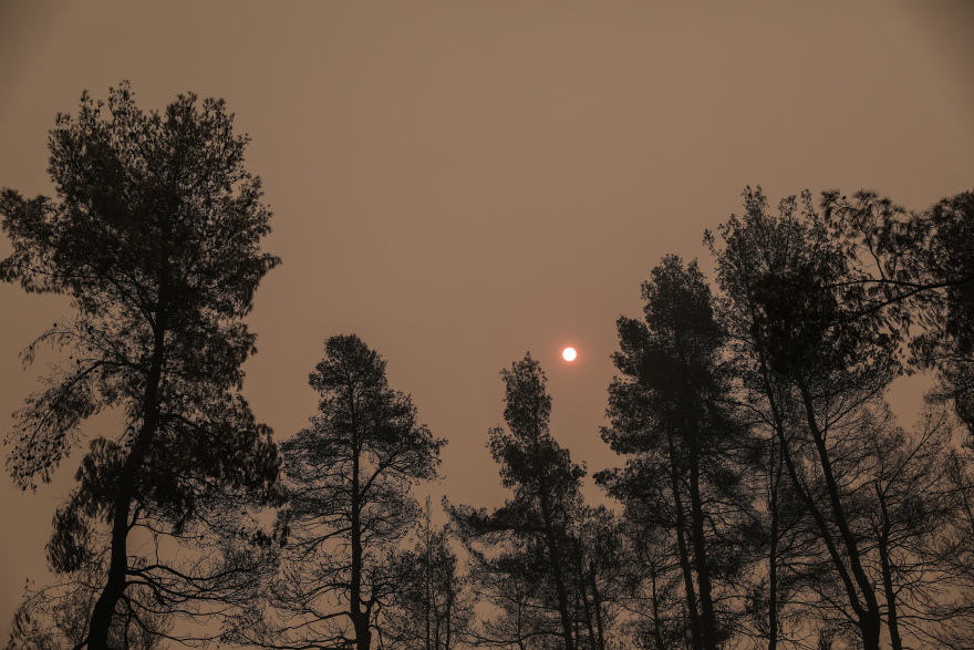 Φωτιά στην Εύβοια: Με τις συνεχείς αναζωπυρώσεις, πλησιάζει την Ιστιαία 