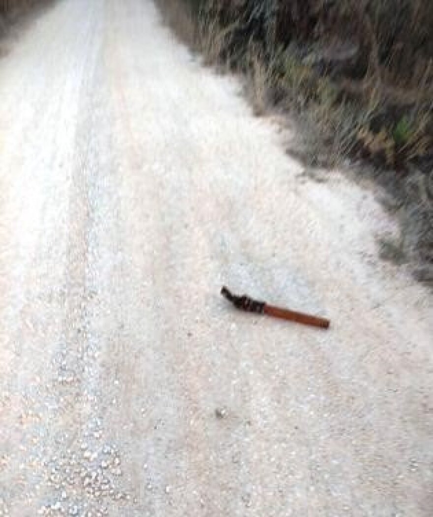 Ηλεία: Συνελήφθη 47χρονος αλλοδαπός για τη δολοφονία 59χρονου ταξιτζή - Τον χτύπησε στο κεφάλι με ξύλινο πόδι καρέκλας