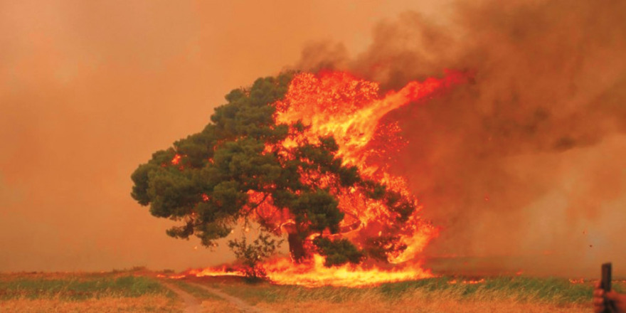 Πύρινος εφιάλτης: Ιστορίες και δάκρυα στα μέτωπα της τραγωδίας