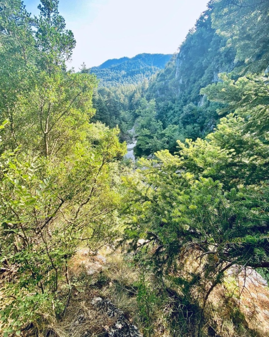 Ο Σπύρος Σούλης δείχνει τη μαγευτική Εύβοια πριν τη φωτιά - Φωτογραφίες από το ταξίδι του