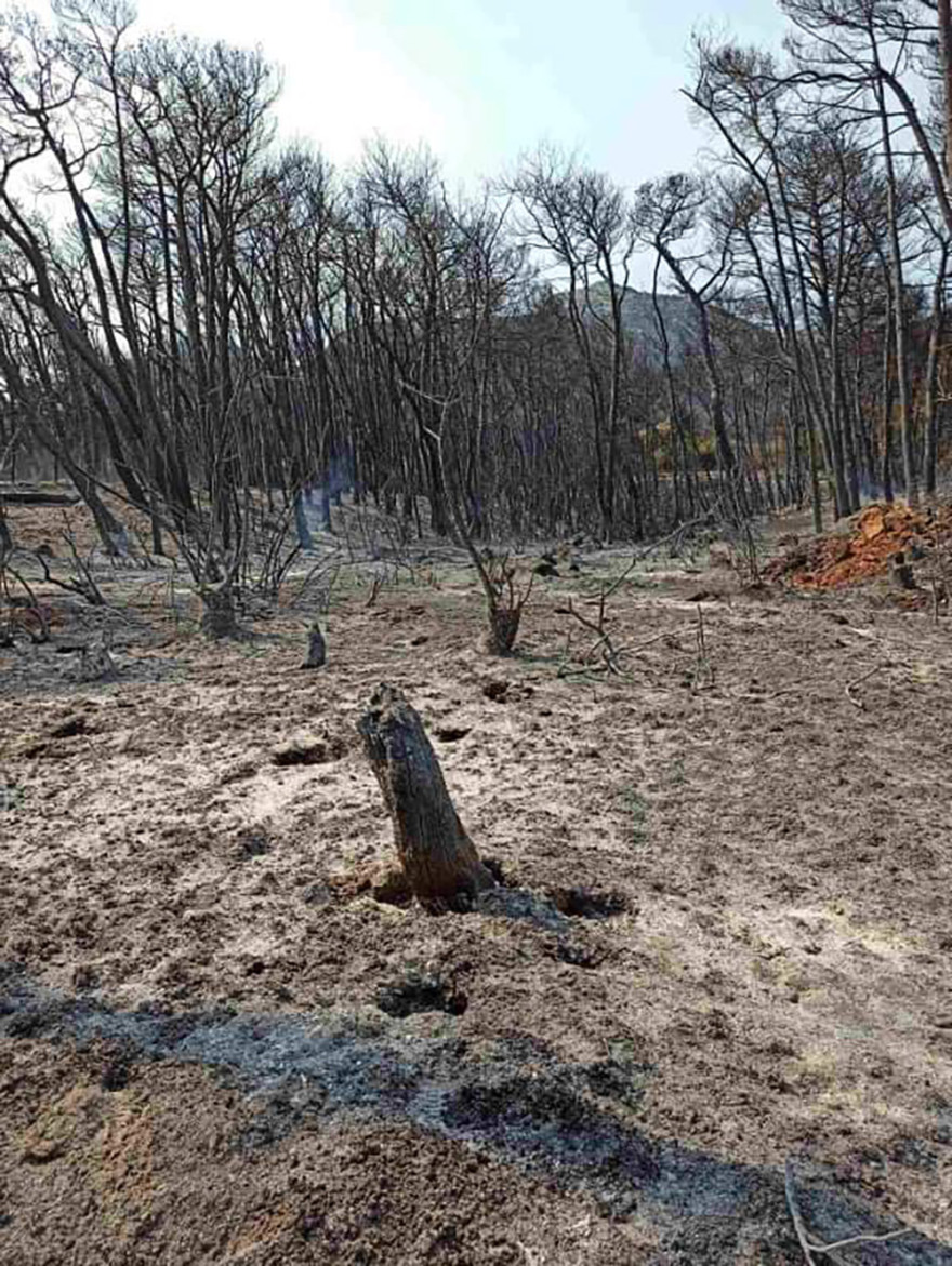 Φωτιές: Εντοπίστηκε εμπρηστικός μηχανισμός στους Θρακομακεδόνες 