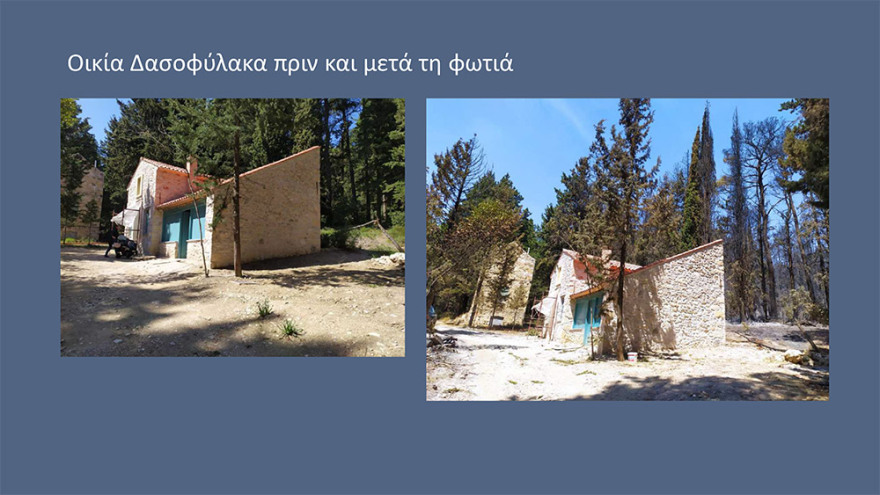 Μενδώνη για Τατόι: Χάθηκε μεγάλο μέρος του δάσους - Ζημιές σε επτά κτίρια - Τι έγινε με τα κοντέινερ