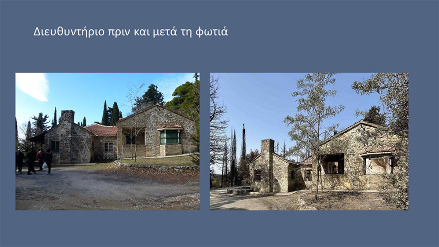 Μενδώνη για Τατόι: Χάθηκε μεγάλο μέρος του δάσους - Ζημιές σε επτά κτίρια - Τι έγινε με τα κοντέινερ